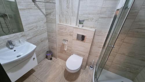 W łazience znajduje się prysznic, toaleta i umywalka. w obiekcie Hotel MONIKA w mieście Maków Mazowiecki