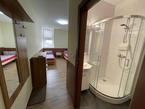 W łazience znajduje się kabina prysznicowa i szklana kabina prysznicowa. w obiekcie Noclegi w Rudzie Śląskiej