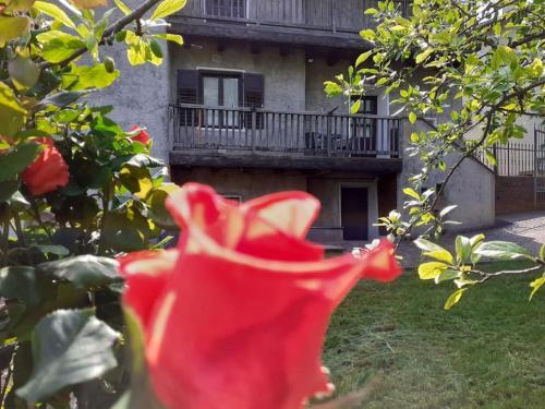 Foto Cà dei Zoani casa vacanze 022139 AT 722787 5