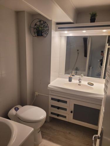 a bathroom with a toilet and a sink and a mirror at Maison Souply in Châlons-en-Champagne