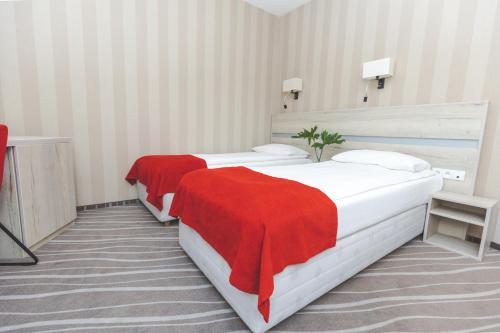 Ένα ή περισσότερα κρεβάτια σε δωμάτιο στο Hotel Akwawit