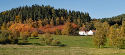 a house in the middle of a field with trees at Penzion Krakovice in Kaplice