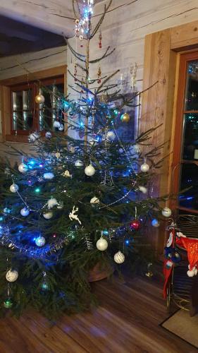 einen Weihnachtsbaum in einem Wohnzimmer mit blauen Lichtern in der Unterkunft Sunny Beaver B&B in Trakai