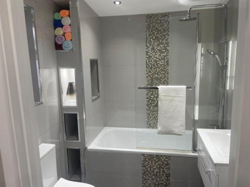 a bathroom with a shower and a toilet and a sink at One bedroom apartment in Goodmayes