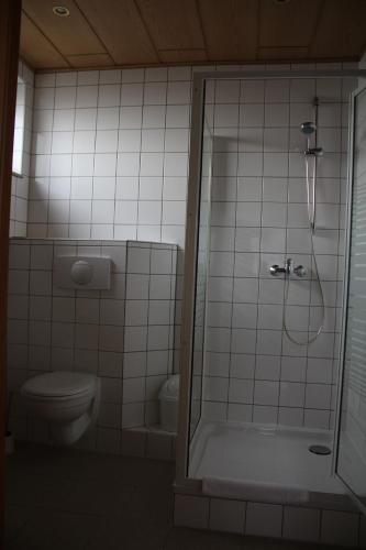 a bathroom with a shower and a toilet at Occhipinti Passione - Restaurant & Hotel - Weyhausen in Weyhausen