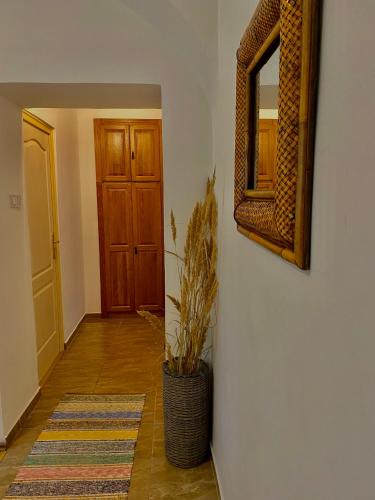 Fotografia z galérie ubytovania Grande Familia Apartman v destinácii Eger