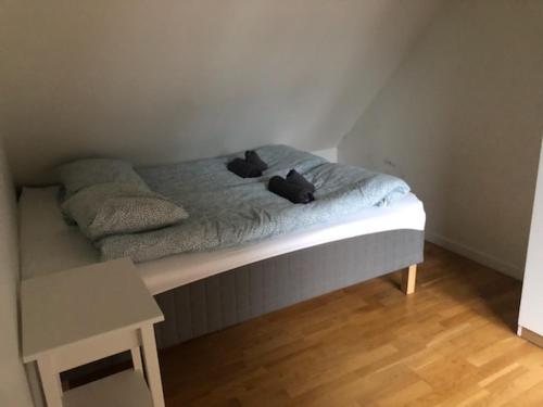 Una cama en un dormitorio con dos gatos negros. en Fløyen Apartment en Bergen