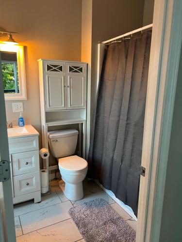 a bathroom with a toilet and a shower curtain at Shy’s Place Abington in Abington