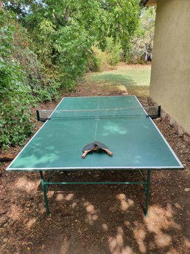 巴拉頓諾爾馬迪的住宿－Budatava nyaraló，乒乓球桌,上面有球棒