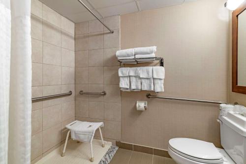 a bathroom with a toilet and a shower with towels at Comfort Inn Glenmont - Albany South in Glenmont