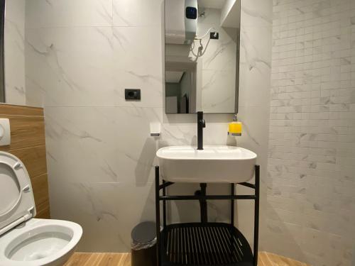 a bathroom with a white sink and a toilet at Vila-Amo Tirana Center in Tirana