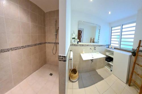ein Bad mit einer Dusche, einem Waschbecken und einem Spiegel in der Unterkunft Villa Picaflor, Friar's Bay in Saint Martin