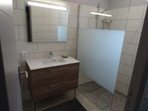 une salle de bain avec un lavabo et un miroir dans l'établissement le meublé du pêcheur, à Port-Saint-Louis-du-Rhône
