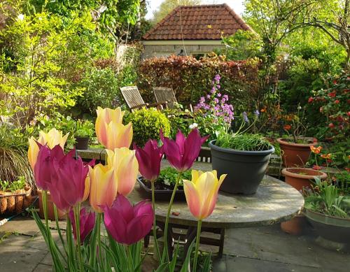 a garden with purple and yellow flowers and plants at B&B Monumentaal Logeren in Zierikzee