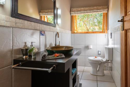 uma casa de banho com um lavatório e um WC em Cliffhanger Cottages em Rheenendal