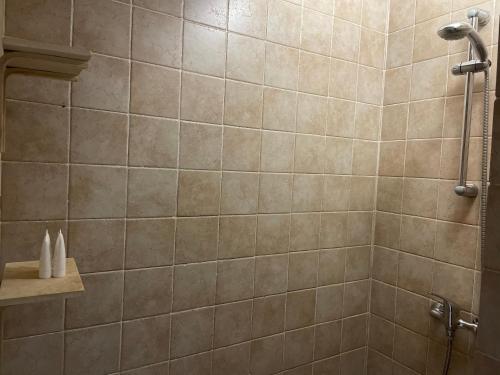 a bathroom with a shower with a tiled wall at B&b Ophelia in Otranto