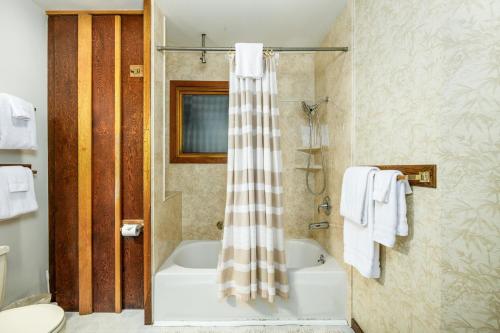 baño con cortina de ducha y bañera en Vail Chalet, en Girdwood
