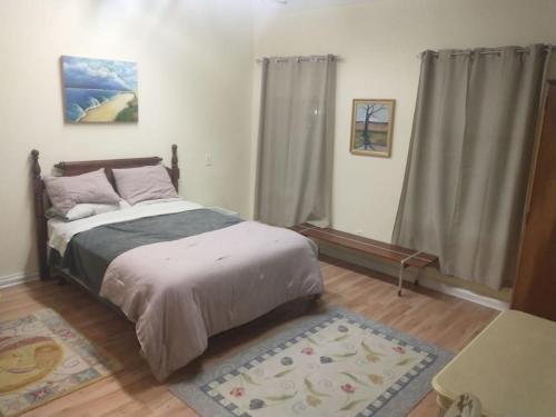 1 dormitorio con 1 cama grande y 1 alfombra en Loft Apartment w River Views, en Salisbury
