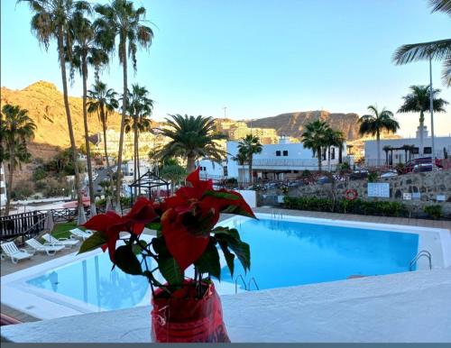 um vaso com flores vermelhas numa mesa ao lado de uma piscina em Apartamento El Cardenal em Playa del Cura