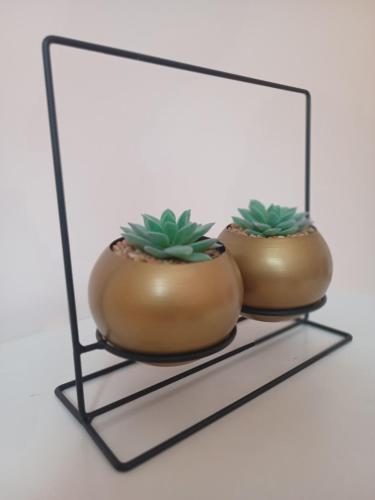 two pot plants on a stand in front of a mirror at Suíte Próxima a Praias! in São Luís