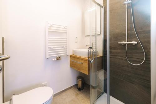a bathroom with a shower and a toilet and a sink at Horský apartmán Temari 9 Klínovec in Loučná pod Klínovcem
