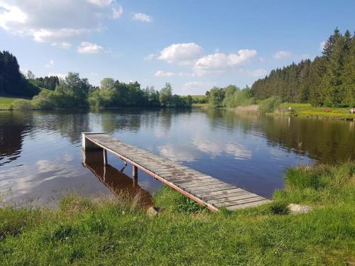 a wooden dock on a lake with trees and grass at Casa Cubana - Schönes und komfortables Ferienhaus am Waldrand in Lechbruck