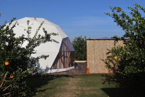 uma tenda cúpula num jardim ao lado de uma cerca em Mandalin Glamping em Selçuk