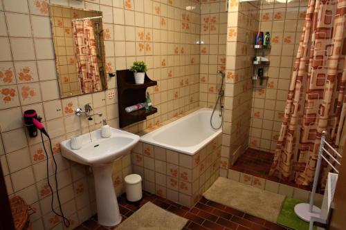 a bathroom with a tub and a sink and a bath tub at Dům v Českém ráji in Dolní Bousov