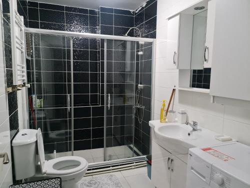 La salle de bains est pourvue d'une douche, de toilettes et d'un lavabo. dans l'établissement luxury apartment with fireplace, à Istanbul