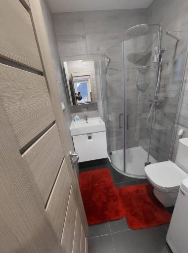 La salle de bains est pourvue d'une douche, de toilettes et d'un lavabo. dans l'établissement Apartmán SORADA, à Rohatec