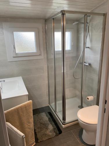 une salle de bain avec douche et toilettes dans l'établissement studio rénové, à Barbâtre