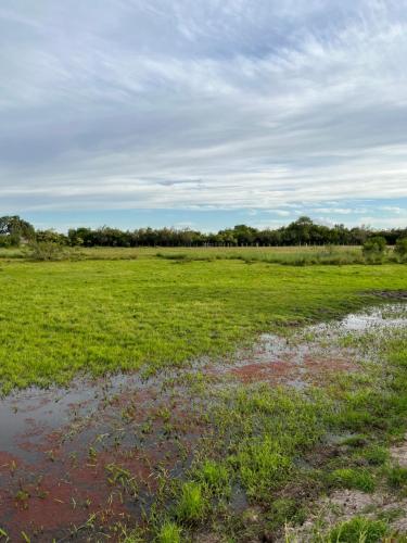 a field of grass with a puddle of water at Cabañas El Calabres in Tacuarembó