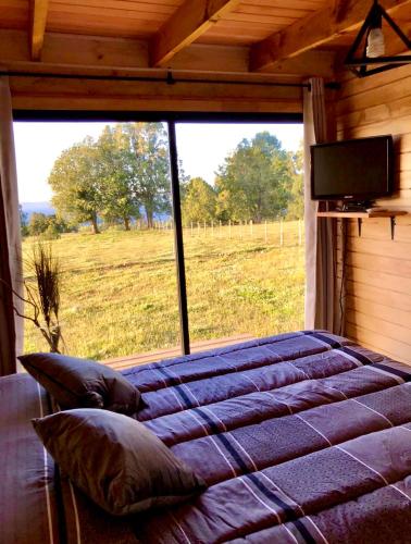 a large bed in a room with a large window at Vistaranco Eco in Lago Ranco
