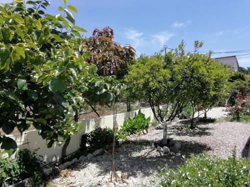 Afbeelding uit fotogalerij van Casa da Carrasqueira - Sesimbra in Sesimbra