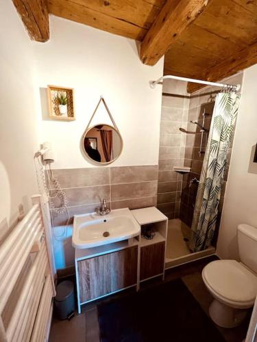 une salle de bain avec un lavabo, des toilettes et un miroir dans l'établissement La Voûte du Dragon spa piscine 26 personnes, à Saint-Privat-du-Dragon