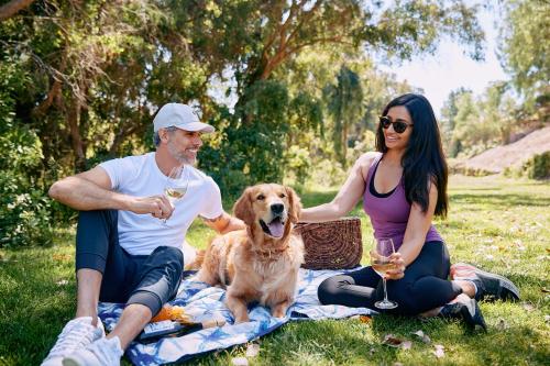 a man and woman sitting on a picnic blanket with a dog at Fairmont Grand Del Mar in San Diego