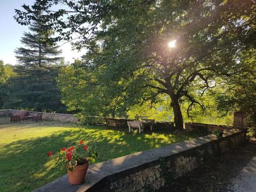 Κήπος έξω από το Manoir Périgord Noir/Piscine chauffée/Etang&Forêt