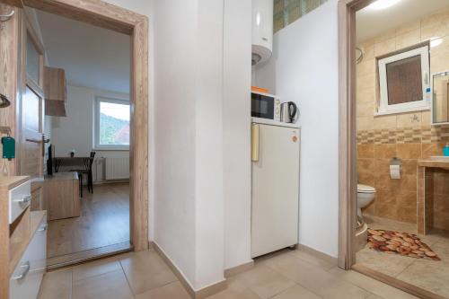 ein Bad mit einer Tür, die zu einer Küche mit einem WC führt in der Unterkunft StoneMlynska 7 Slovakia in Svit