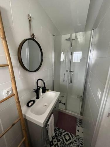 une salle de bain avec un lavabo et une douche avec un miroir dans l'établissement Appartement T2 - port d'Orange, à Saint-Pierre-Quiberon