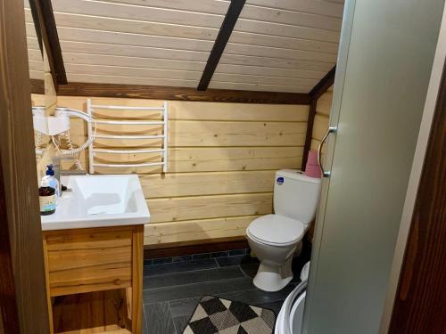 uma pequena casa de banho com WC e lavatório em Еко будинок в горах em Verkhniy Bystryy