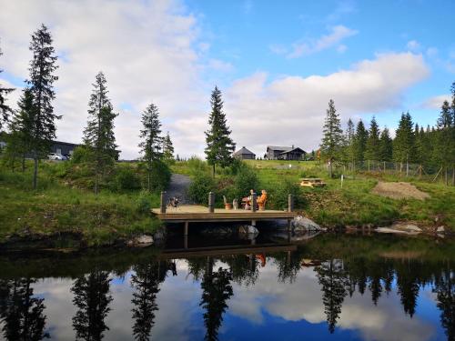 Gallery image of Blåfjell hundesenter fjellhotell in Mosjøen