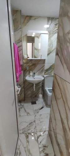 a bathroom with a sink and a toilet and a mirror at Villa Alba Apartments in Dobra Voda