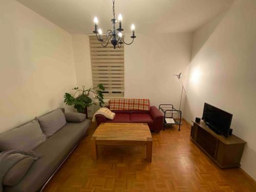 sala de estar con sofá y mesa de centro en Schöne Altbauwohnung mit Grün in ruhiger Lage, en Leipzig