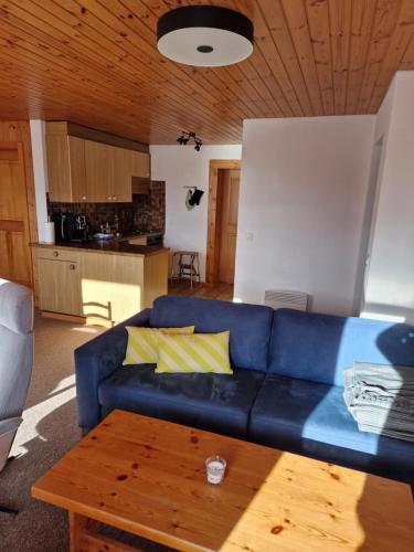 a living room with a blue couch and a table at Bettmeralp Chalet Zendorn in Bettmeralp