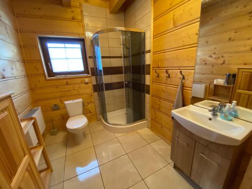y baño con ducha, aseo y lavamanos. en Nowica 71 Relax Dom Świerkowy en Nowica