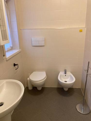 a bathroom with a white toilet and a sink at ADIGE MUSE HOME in Trento
