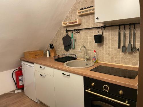 a kitchen with a sink and a counter top at Guest House Durmitor Paradise in Žabljak