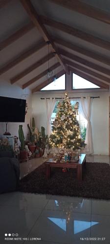 a christmas tree in a living room with a tv at Casa de campo Llifén Futrono Lago Ranco in Ranco