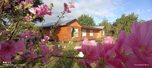 a log cabin with pink flowers in front of it at Casa de campo Llifén Futrono Lago Ranco in Ranco