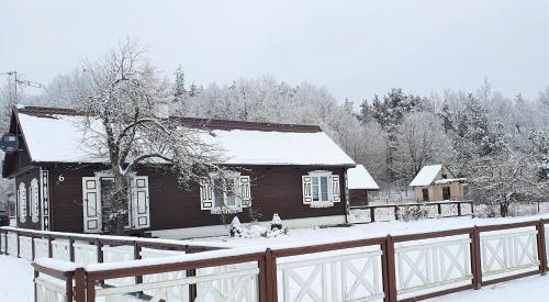 two cats sitting in the snow in front of a house at Podlaski Zakątek in Bereżyszcze